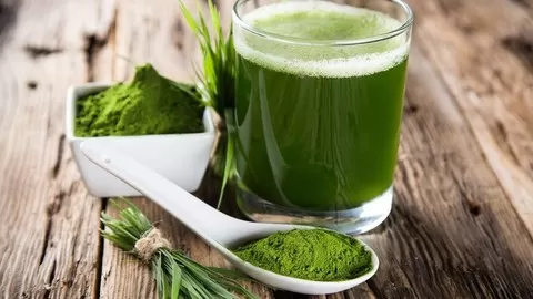 Use the power of hydroponic wheatgrass to look and feel your best