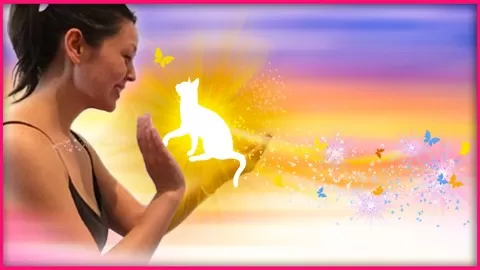 Animal & Pet Reiki using energy healing is both easy to do and rewarding for all! Obtain certification upon completion!