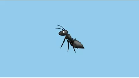 Learn hands on Apache Ant Build tool