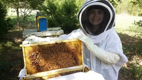 Learning Everything You Need to Know to Become a Successful Beekeeper