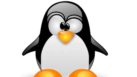 Linux Server Administration - A Step-By-Step Installation and Configuration Guide for Linux Fedora Server Workstation