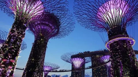 A Case Study of Singapore's Premier Nature Park