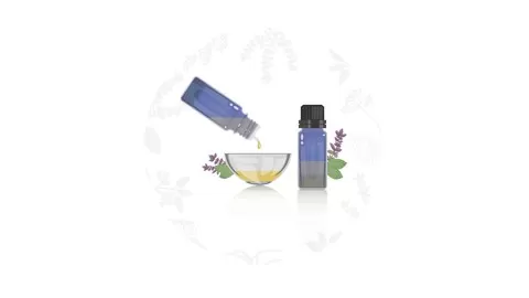 How to use Essential Oils to live healthy: Uses & benefits. Aromatherapy. Peppermint