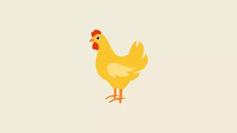 Learn chicken welfare