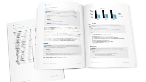 Templates Included - Fill-in-the-Blanks Business Plan and Financial Statements