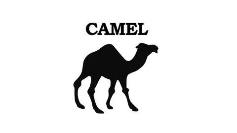 Best Udemy course to learn Apache Camel