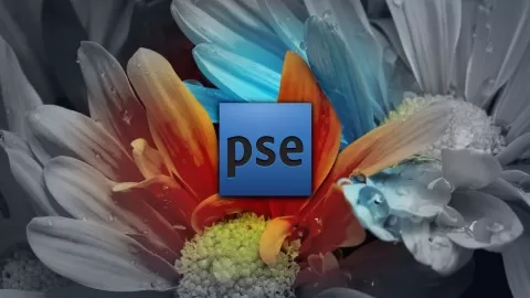 Learn Introductory through Advanced material with this complete Photoshop Elements course. Video lessons & manuals.