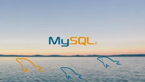 Learn MySQL and Take Your Web Development to the Next Level.