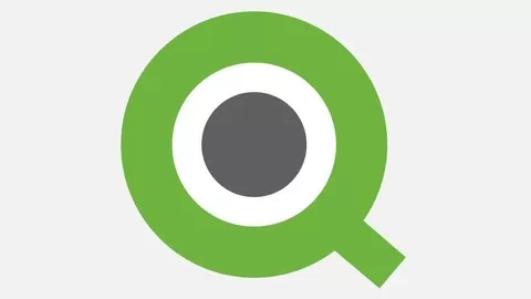 Master QlikView in 2 hours