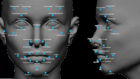 This course is specially designed for face detection and recognition by capturing faces in real time and display result