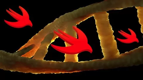 An Introduction To Bioinformatics