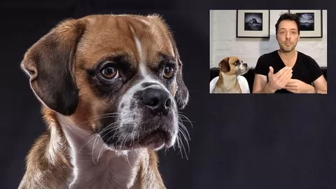 Learn how to take amazing photos of your dog or cat