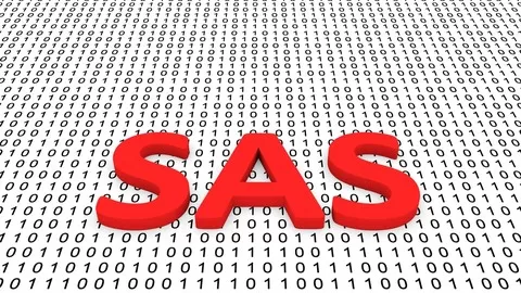 Become an expert SAS analyst. Learn basics of SAS programming and advanced topics like SAS SQL Procedure and SAS Macros