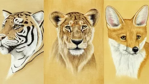 Learn Pastel Pencil Techniques and Draw a Tiger