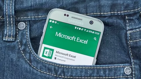 Master MS Excel - Excel Basics