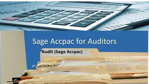 Competently use accounting software in your audit work. Get more out of your EPR system.