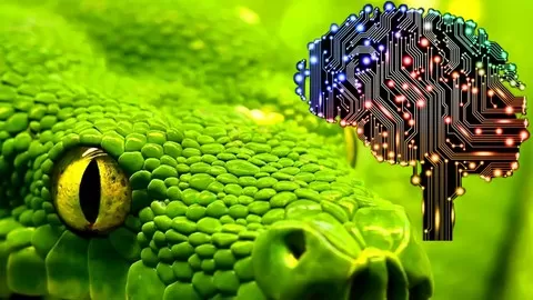 This course illustrates Python Code for Artificial Intelligence which is the foundation of Computational agents