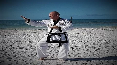 Learn the basic techniques and forms in Tang Soo Do "Way of the China Hand" building a solid foundation in Karate.