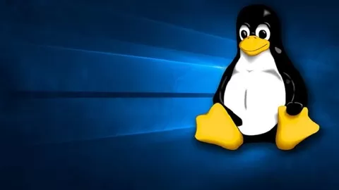 Familiar with common Linux boot problems and gets hands on experience on basic system recovery with various lab sessions