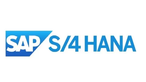 SAP S/4 HANA Master Data Migration from SAP ERP to SAP S/4 HANA