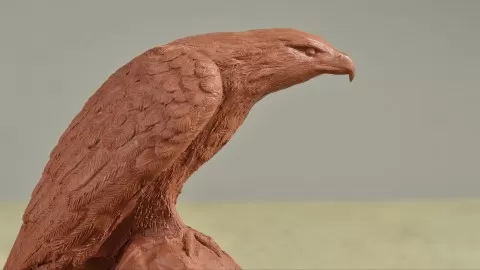 Learn the basics of sculpture by modeling an eagle in clay.