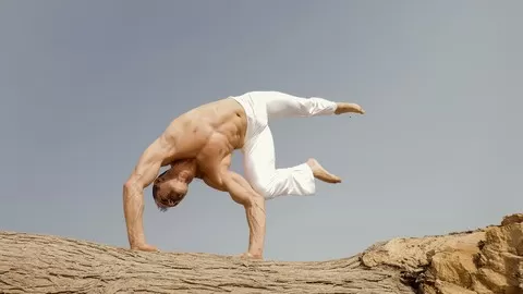 Learn Martial Arts Acrobatics Flips & Kicks