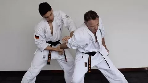 Learn basic to intermediate Kyokushin Karate through lessons split into important aspects of Kyokushin karate