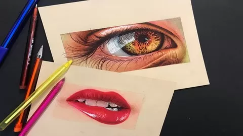 Learn The Colored Ballpoint Pen Drawing Technique Easily. This Art is so Amazing Drawing