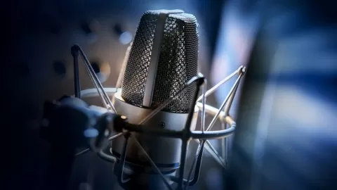 Learn the tools and techniques to get started working from home (and making money!) in the world of voiceovers