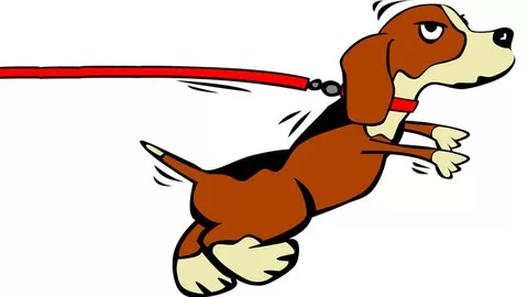 BAD DOG BEHAVIOR? ENROLL NOW! Dog Training