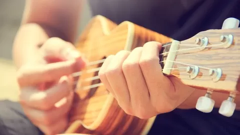The Step-By-Step Uke Course
