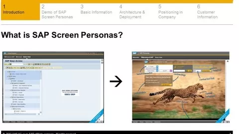 Learn SAP Screen Personas by Dixita Galiyal and practice for your SAP Certification Exam
