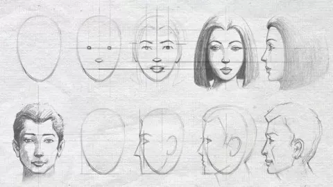 All the techniques you must know to draw the profiles of a Human face – a basis for Portrait drawing and painting.