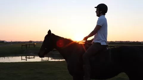 How to use energy body language to communicate with your horse! Horse riding & Horsemanship Course | Equine Pet training