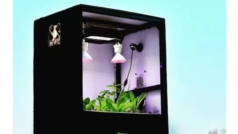 Learn to build own indoor hydroponics system and control it remotely through IOT
