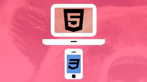 Launch a career as a web designer by learning HTML5