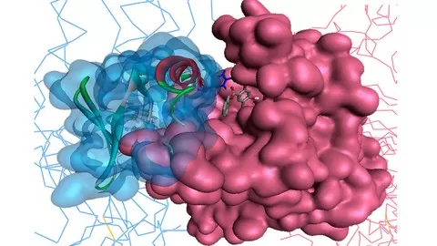 Basics of Computer Aided Drug Discovery