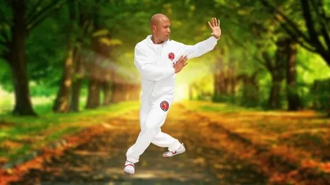 The Master Wong Tai Chi Health course 1 is the beginning of learning Tai Chi training