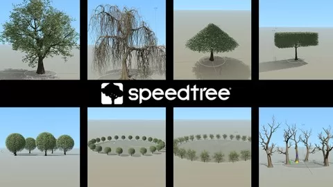 Get the basics right and learn how to model detailed trees in any shape