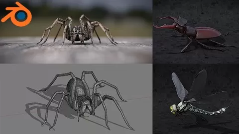 Discover a complete workflow for creating realistics insects and spiders for illustration or animation.