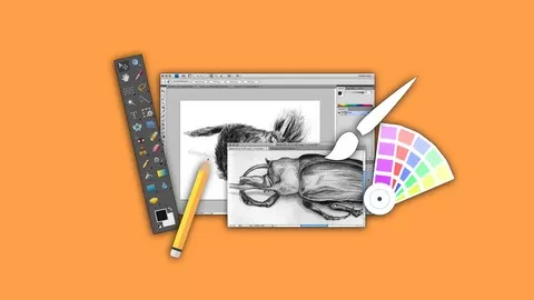 The Complete Beginners Guide for Learning Adobe Photoshop