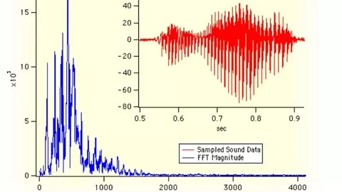 Digital signal processing with MATLAB applications