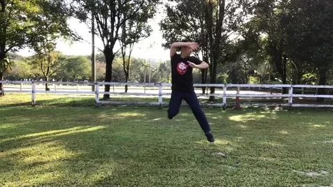 A traditional Kong Fu which combines mind