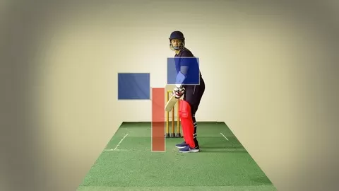 Practical T20 cricket batting