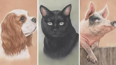 No Free-Hand Drawing Required. Learn to draw AMAZING Animals using only 9 Pastel Pencils. Follow Step by Step Videos.