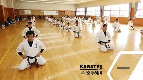 Learn the basics of Karate Jutsu