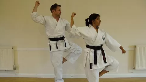 Everything you need to know to become a Black Belt (Part 2