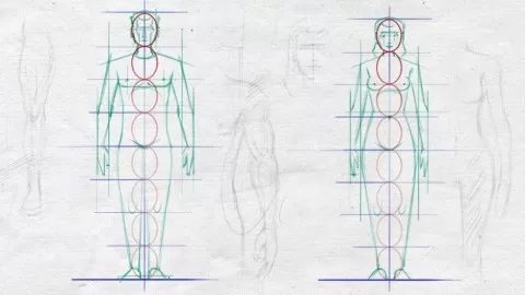 All the techniques you must know to draw the Anatomy of Human Body – a basis for Figure drawing and painting
