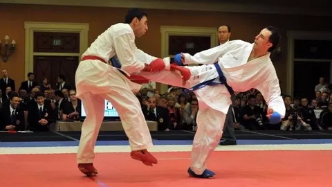 Get inspiration in karate WKF or any other karate federation. Martial arts Kumite (combat)