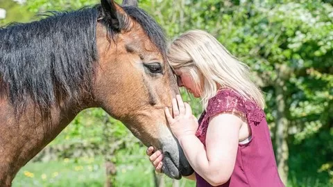 Suitable for all levels of Energy healing Practice. Ideal for horse lovers